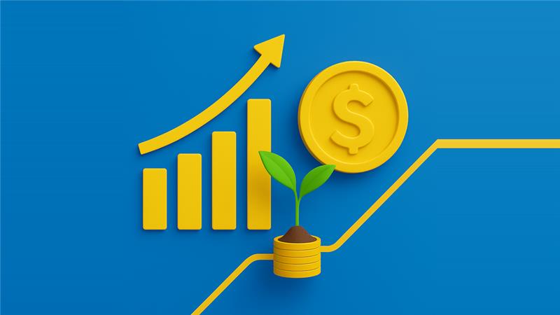 Піреус Банк став кастодіальним партнером нового інвестиційного фонду «ОТП Максимум» зображення